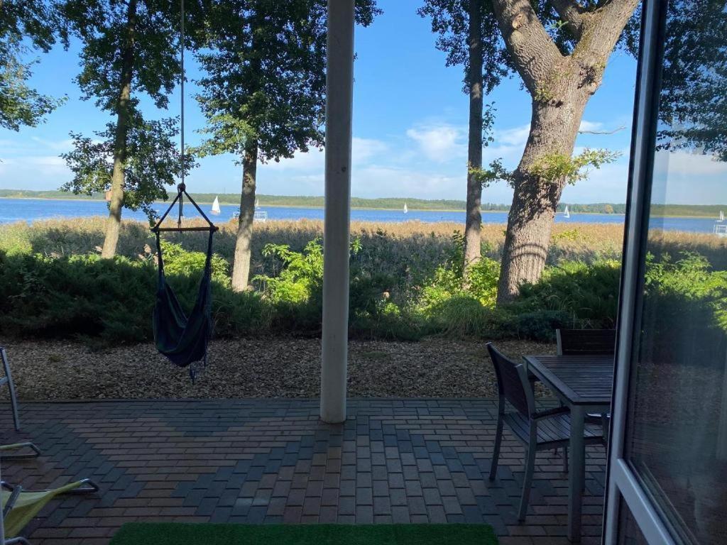 Apartament Wiewiórka Radzyn Bagian luar foto