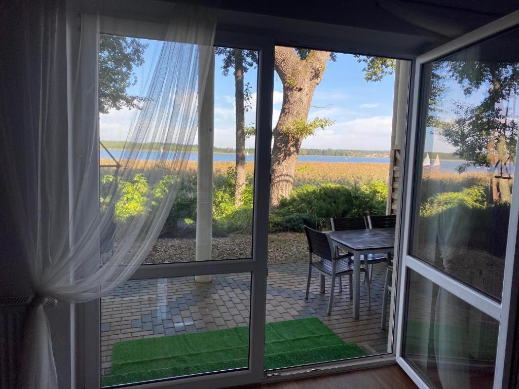 Apartament Wiewiórka Radzyn Bagian luar foto